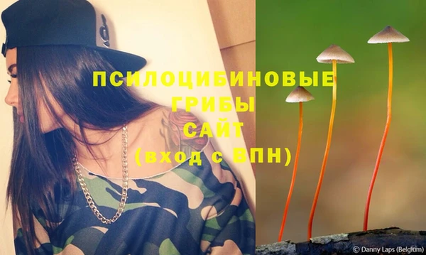apvp Алексеевка