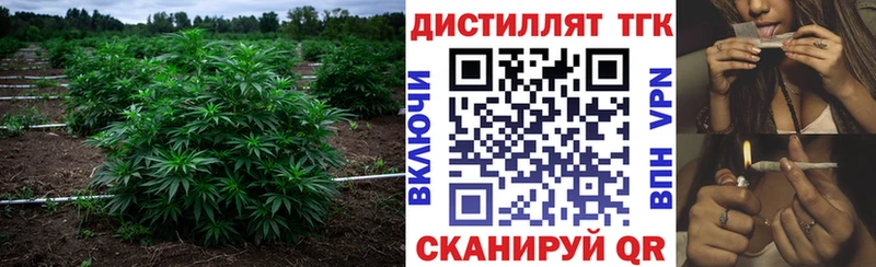 продажа наркотиков  blacksprut   Дистиллят ТГК гашишное масло  Вологда 