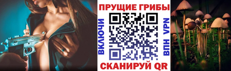 купить наркотики сайты  Вологда  Галлюциногенные грибы прущие грибы 