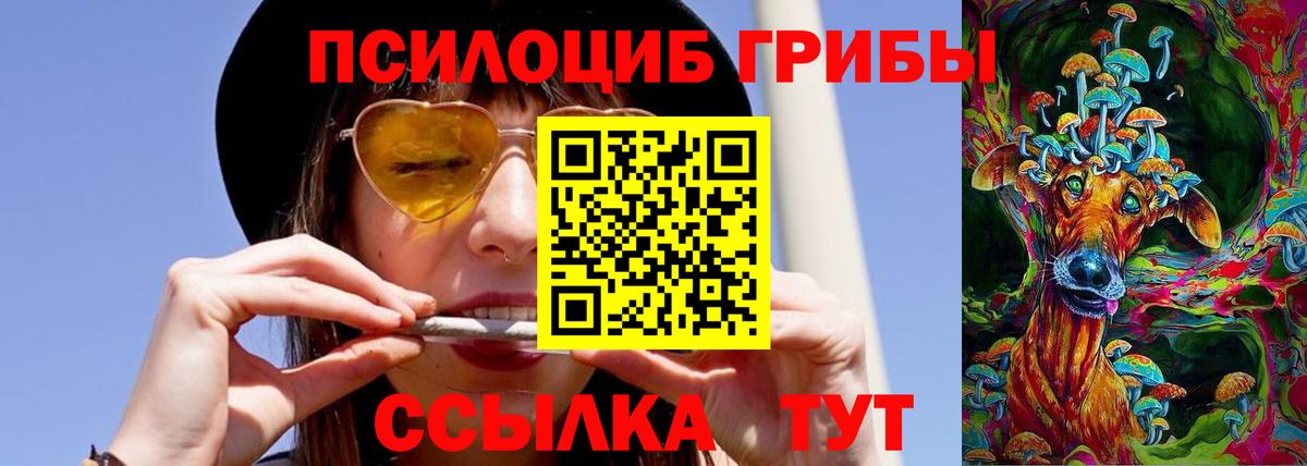 Галлюциногенные грибы прущие грибы Вологда